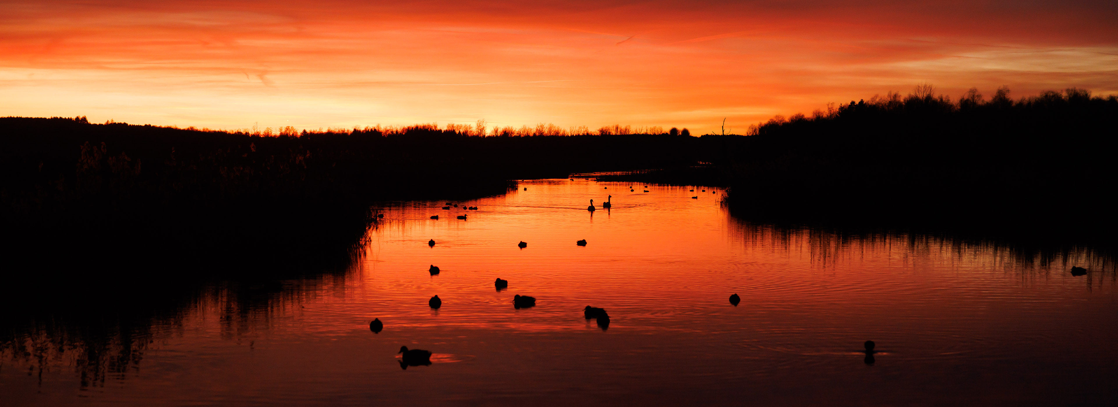 Abendrot am Federsee Bad Buchau
